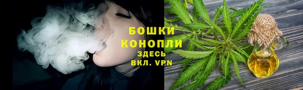 дмт Кодинск