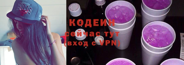 дмт Кодинск