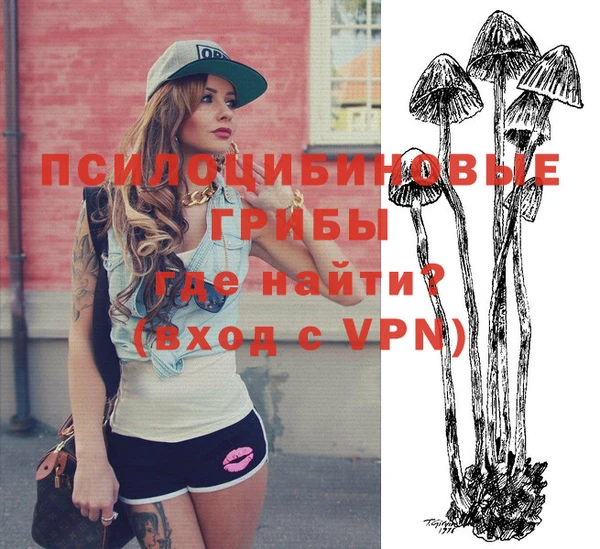марки nbome Козловка