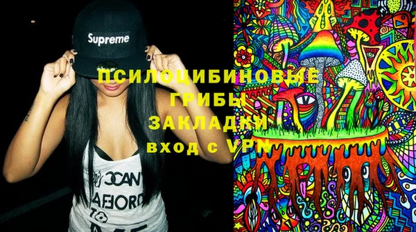 дмт Кодинск
