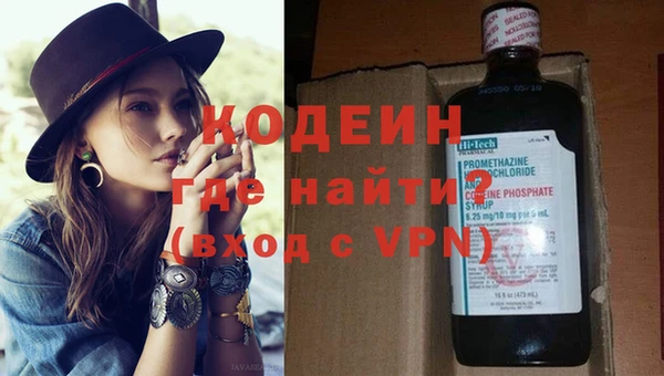 дмт Кодинск
