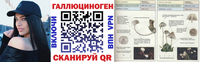 Галлюциногенные грибы прущие грибы  Купить закладки  Семёнов 